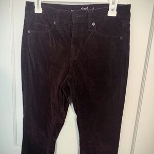 Women's Deep Purple Pants - Classic Straight Fit